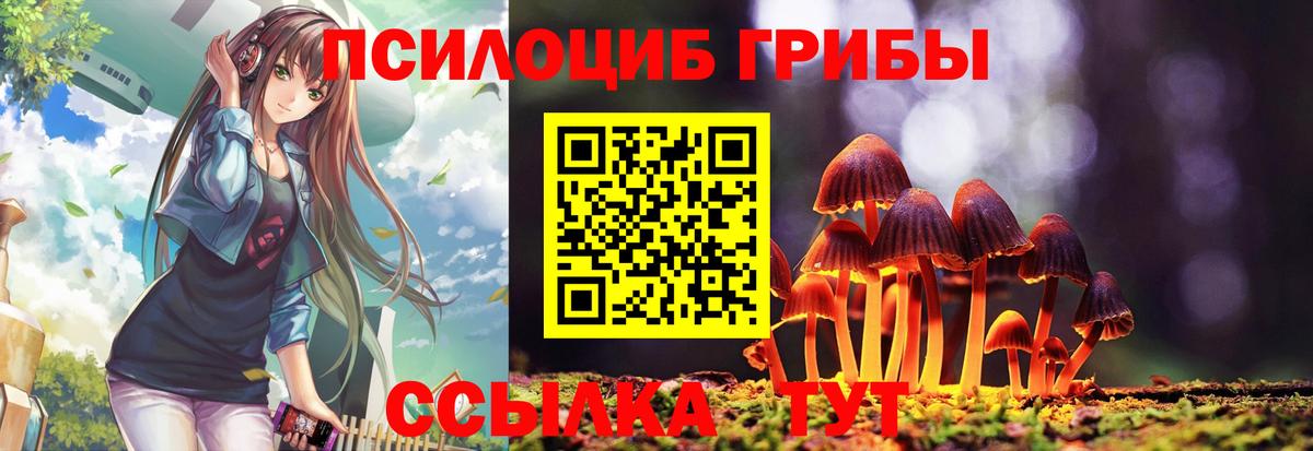 где купить наркоту  Вход с VPN  Галлюциногенные грибы Psilocybe  Мелеуз  Псилоцибиновые грибы мухоморы 